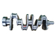 أجزاء محرك حفارة 4TNV94 العمود المرفقي 129902-21000 YM129902-21000