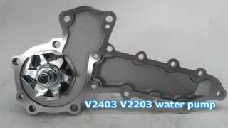 مضخة مياه V2403 V2203