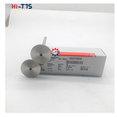 سعر جيد 4BT 6BT 6D102 صمام مدخل محرك الديزل صمام العادم 4995554 3901117 3920867 3920868 الانترنت