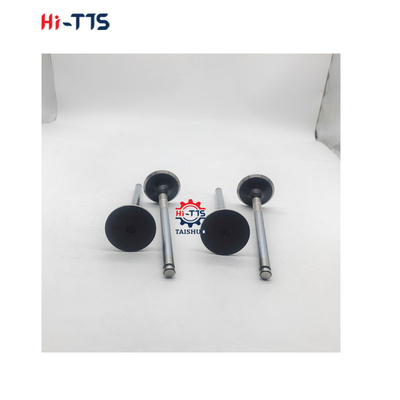 D2366 قطع غيار محرك الديزل صمام المدخل 6504101-0044