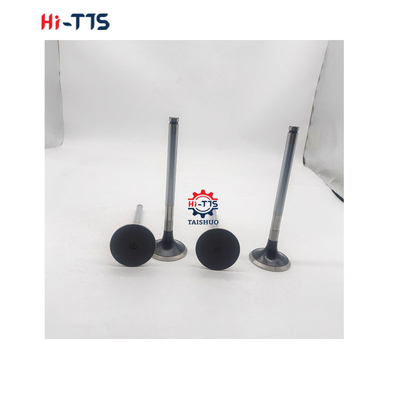D2366 قطع غيار محرك الديزل صمام المدخل 6504101-0044