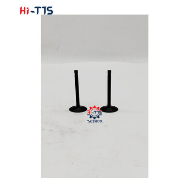 أجزاء آلات الهندسة صمام في C4.4 C6.6 C7.1 339-9637 للحفر 312D 313D 315D 316D M313D M315D M316D